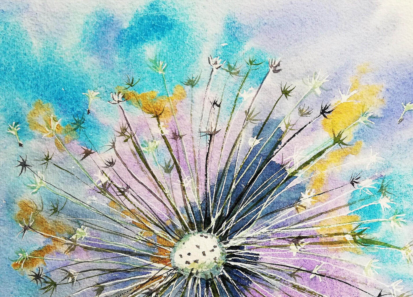 Dandelion