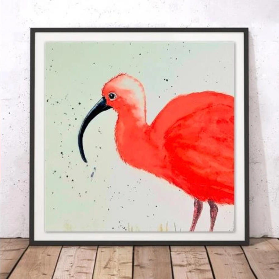 Red Ibis